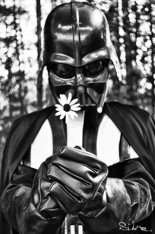 No, I am Your Gardener