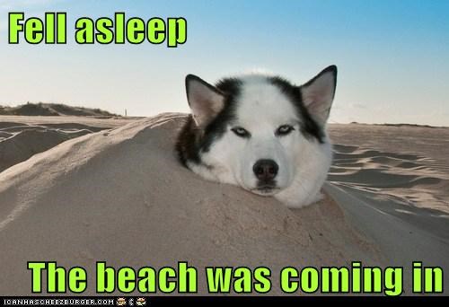 Fell asleep  The beach was coming in
