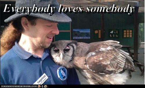 Everybody loves somebody