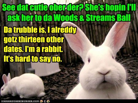 Rabbits got monogamy issues