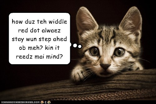 A Deep Thought From Kontumplatuv Kitteh.
