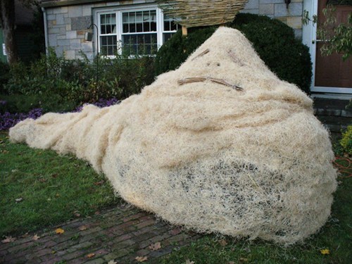 Jabba the Scarecrow WIN