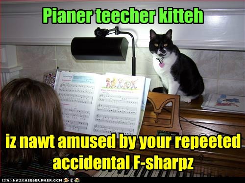 Pianer teecher kitteh will be chargin more for next week's lesson