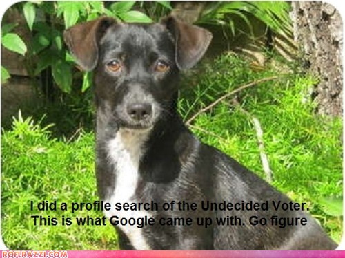 The Undeciced Voter