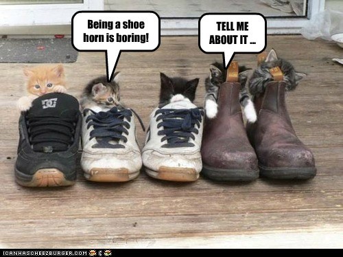 Being a shoe horn is boring!