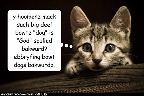 A Deep Thought With Kontumplatuv Kitteh