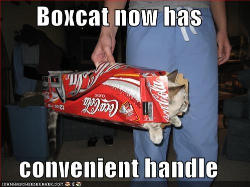 Boxcat now has  convenient handle