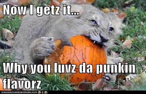 Now I getz it...  Why you luvz da punkin flavorz