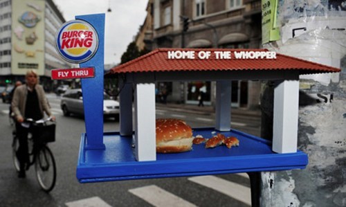 Burger King is For the Birds