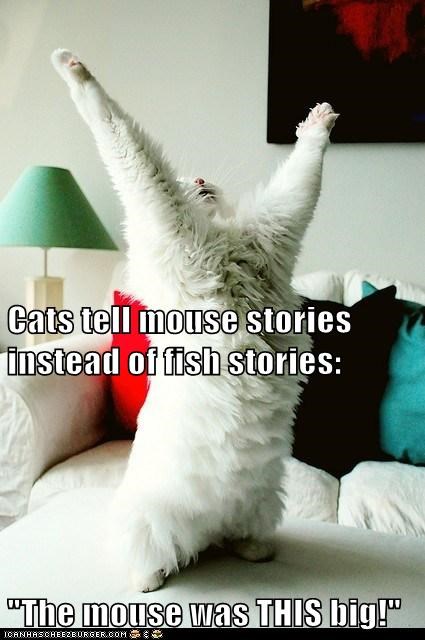 Cats tell mouse stories instead of fish stories: "The mouse was THIS big!"