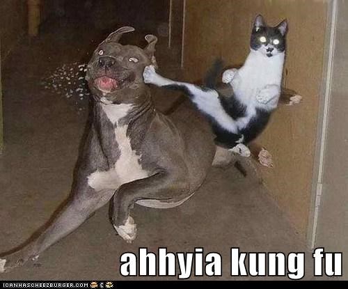 ahhyia kung fu