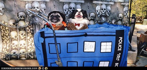 Halloween Pet Parade: Doctors in the TARDIS
