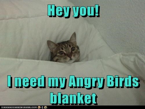 Hey you!  I need my Angry Birds blanket