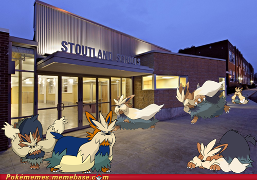 A School for Stoutlands...