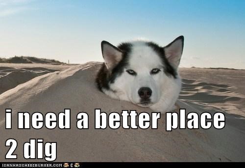 i need a better place 2 dig