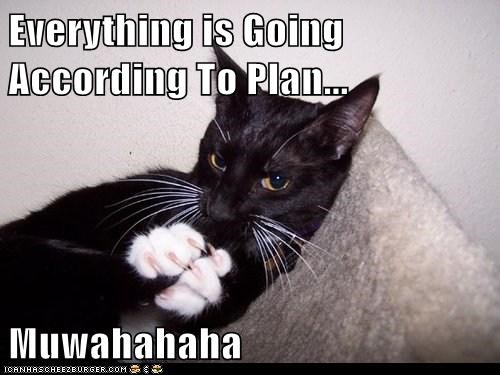 Everything is Going According To Plan...  Muwahahaha