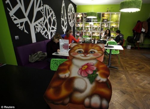 Cats Republic: A Kitteh Café