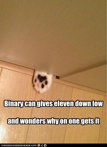 Binary cat