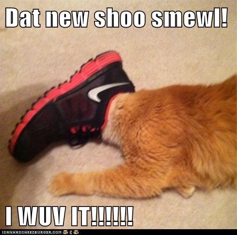 Dat new shoo smewl!  I WUV IT!!!!!!