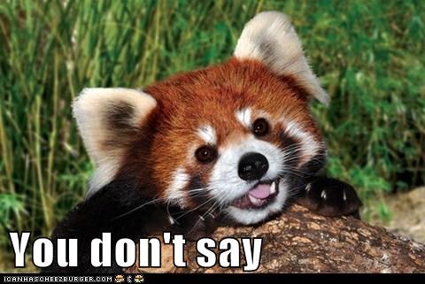 Memes: Now in Red Panda Form