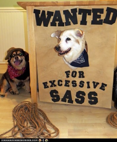 Halloween Pet Parade: Deputy Dog and The Outlaw