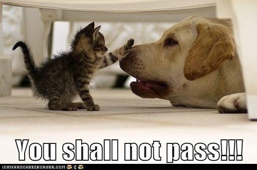 You shall not pass!!!