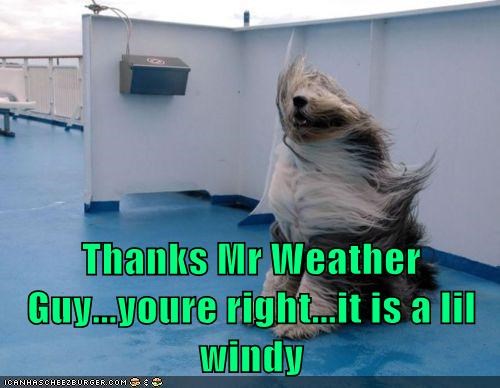 Thanks Mr Weather Guy...youre right...it is a lil windy