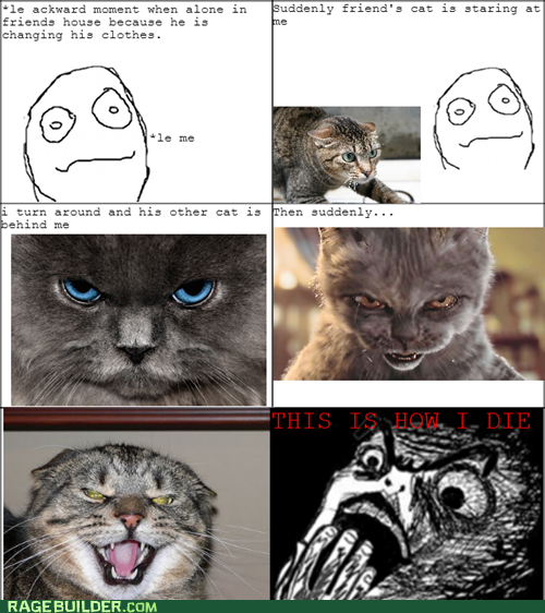 Murdered by Kittehs