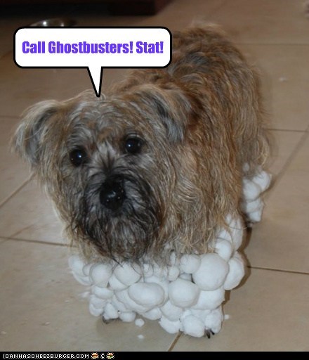 Who else you gonna call?