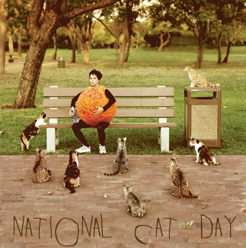 Celebrate National Cat Day in Style!