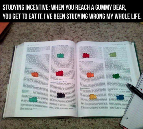 That Night I Read Every Textbook I Own
