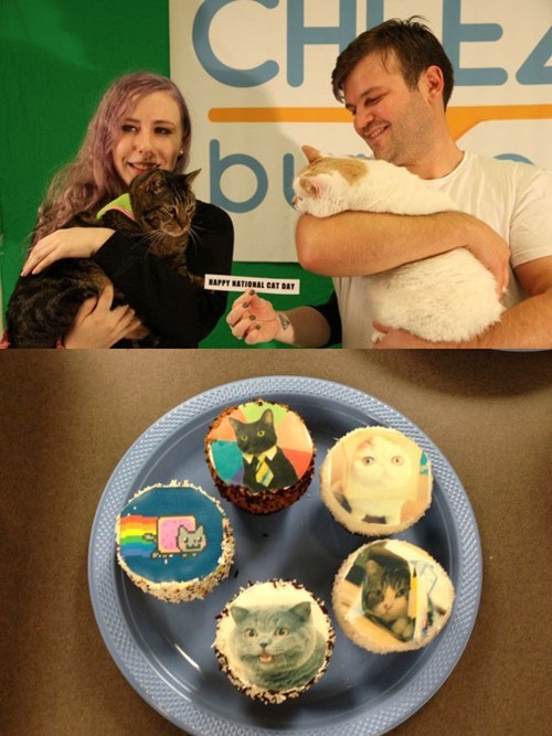 Cheezburger HQ Celebrates National Cat Day!