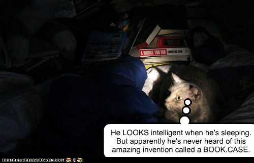 He LOOKS intelligent when he's sleeping.  But apparently he's never heard of this amazing invention called a BOOK.CASE.
