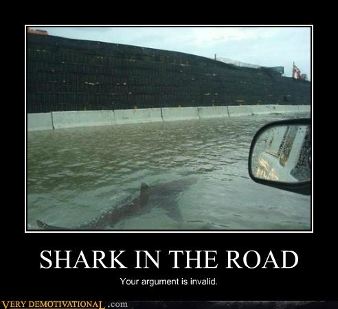 SHARK IN THE ROAD