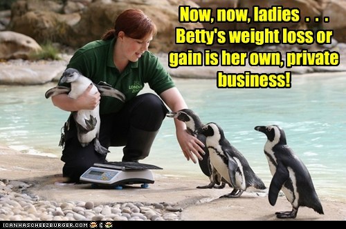 Maybe wait over there by the low-fat herring buffet until it's your turn