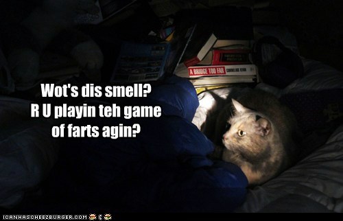 Wot's dis smell?  R U playin teh game of farts agin?