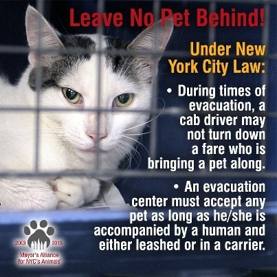 Hurricane Sandy: Leave No Pet Behind!