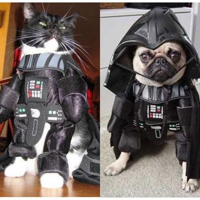 Kittehs R Owr Friends: Matching Costumes 