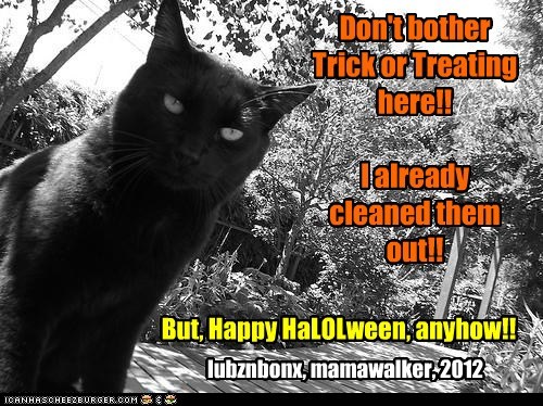 Happy HaLOLween, Cheezpeeps!!