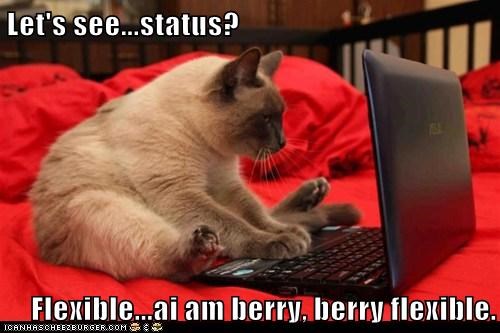 Let's see...status?  Flexible...ai am berry, berry flexible.