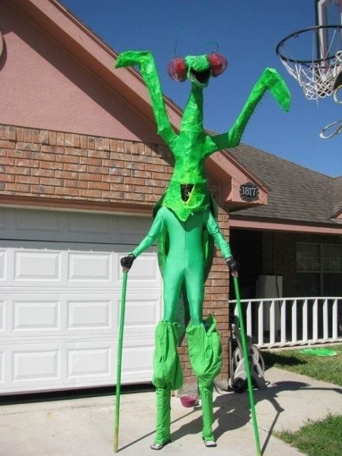 OK Mantis, You Play Center