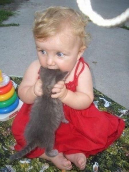 No Sweetie, Don't Eat the Cat