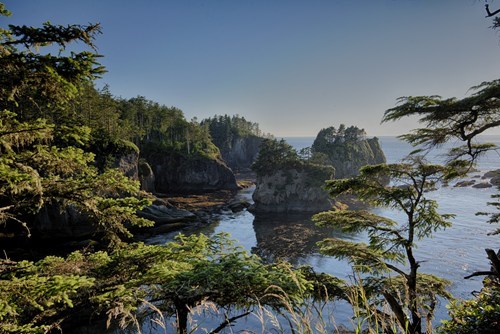 Empty Compliments Will Get You Nowhere in Cape Flattery, Washington