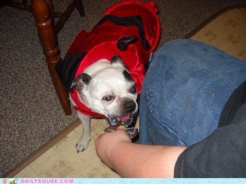 Reader Squee: Our First Trick-Or-Treater