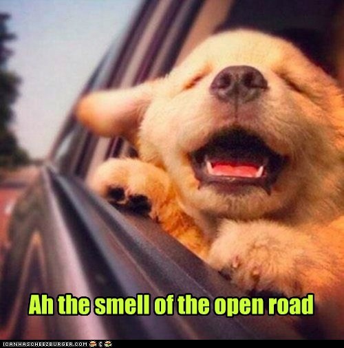 So many smells!