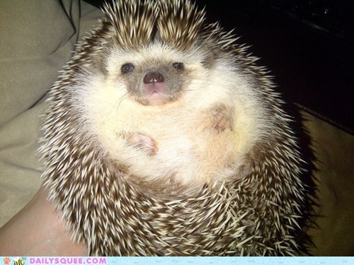 Reader Squee: Pudgy Girl
