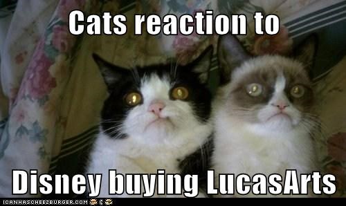 Cats reaction to   Disney buying LucasArts