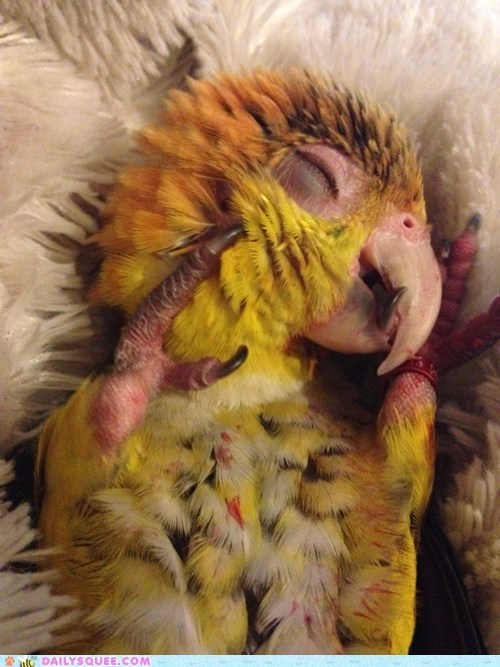 Reader Squee: Sleepy Baby 