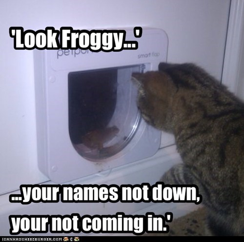'Look Froggy...'