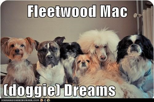 Fleetwood Mac  (doggie) Dreams